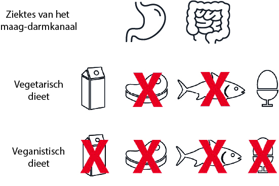 Risicogroepen vitamine B12 tekort vegetariers