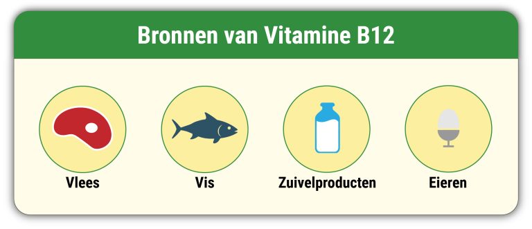 Vitamine B12 bronnen 1