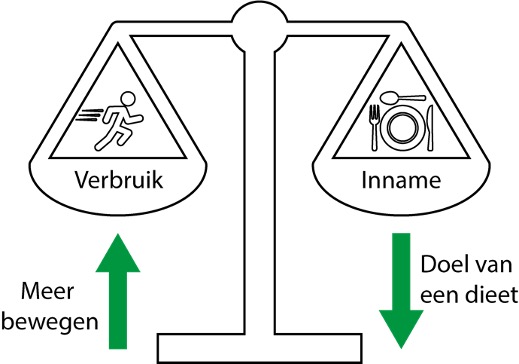 Dieten afvallen energiebalans