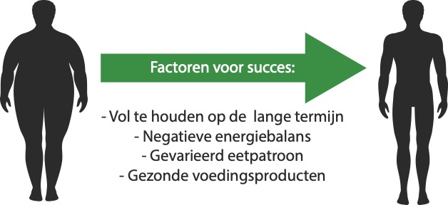 Werkzaamheid dieten 1