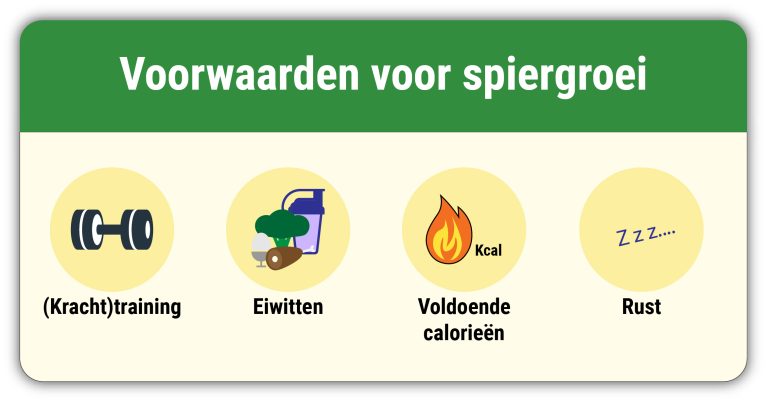 Eiwitsupplementen voorwaarden spiergroei