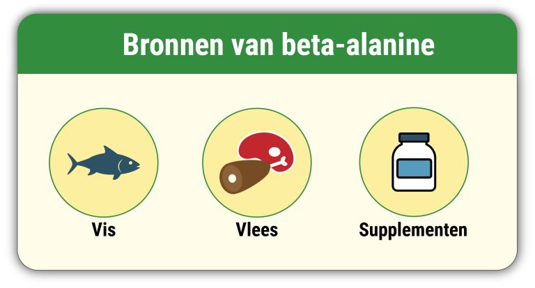 Beta alanine bronnen 1