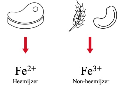 Ijzer voedingsproducten
