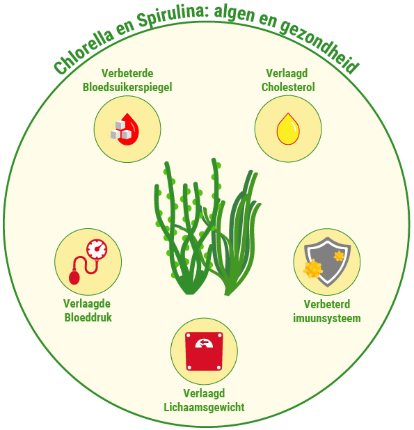 Chlorella en spirulina gezondheid