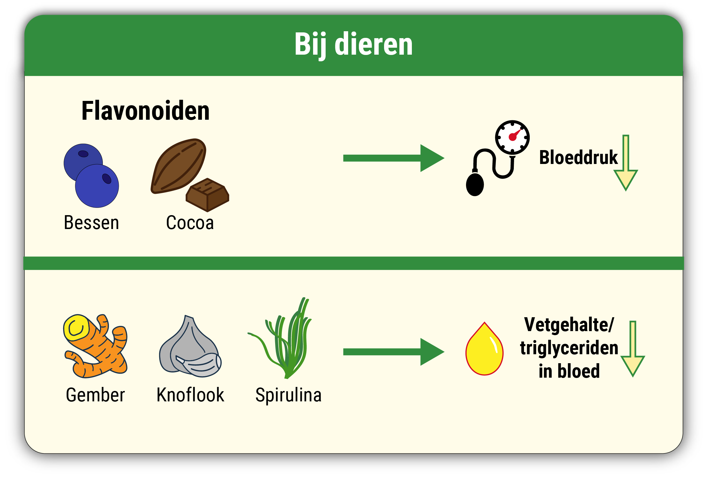 Superfoods effect bij dieren