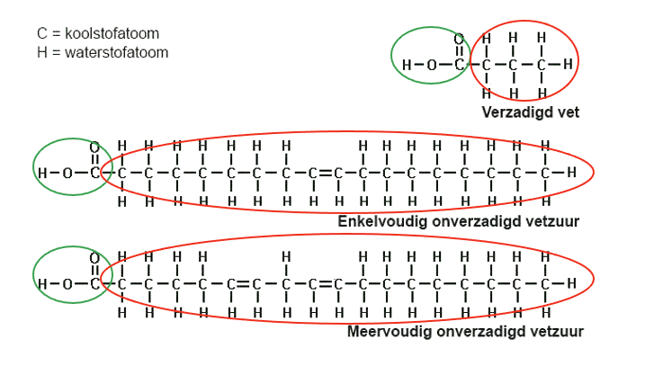 Verzadigde en onverzadigde vetzuren