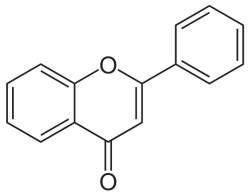 Polyfenol alcoholvrij bier gezondheid